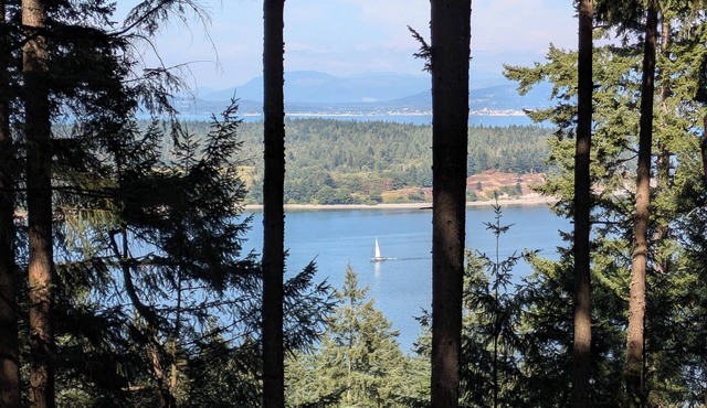 Welcoming 1-bedroom house on peaceful Lummi Island getaway