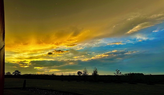 Welcoming 1-bedroom cabin in the heart of the Yorkshire Wolds
