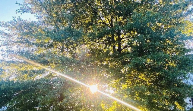 Welcoming 3-bedroom bungalow in South Beloit