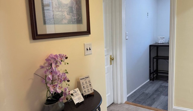 Welcoming 3 bedroom private entry with AC in charming Wilmington