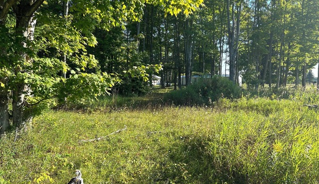 Welcoming campsites in heart of the UP