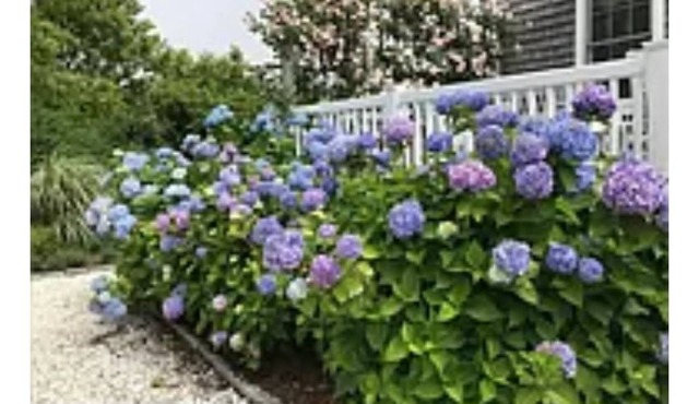 Well appointed Madaket house near beaches