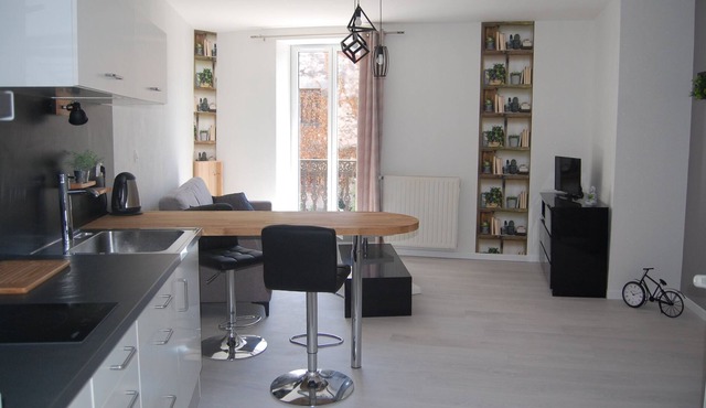 "Well-being apartment" between Clermont Ferrand and Issoire