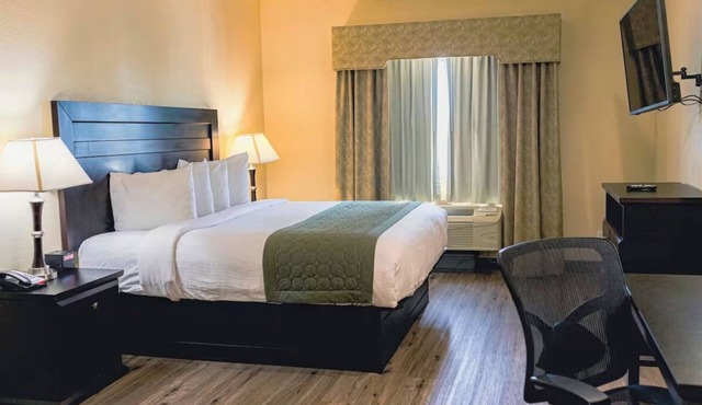 Well-Equipped Pet-Friendly Room Nearby Local Fun! Explore Tyler Rose Garden!
