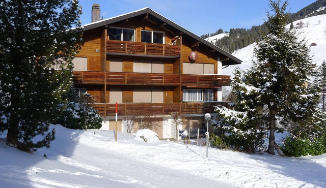 Well-kept apartment in the Swiss mountains (whether Interlaken)