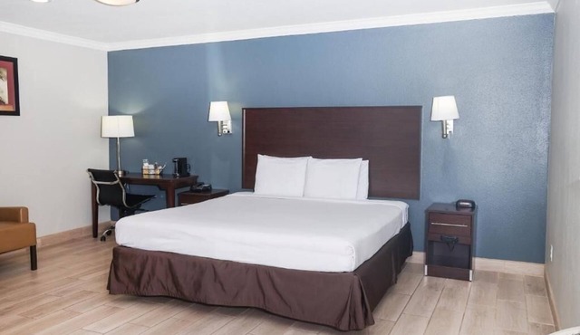 Well-Located Unit Close To Downtown - Pets Welcome, Pool, And Free Parking