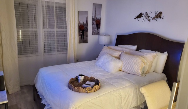 Well remodeled Diamond apartment with European touches