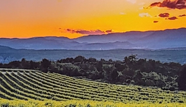 Well-situated estate in the heart of a beautiful region, with magnificent views over the valley.