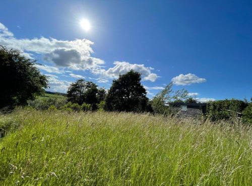 Wellbank Shepherds Hut