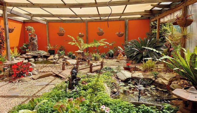 Wellbeing Courtyard Beachside Retreat