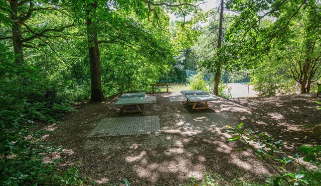 Wellholidays 19 - appartement balnéo et terrasse piscine