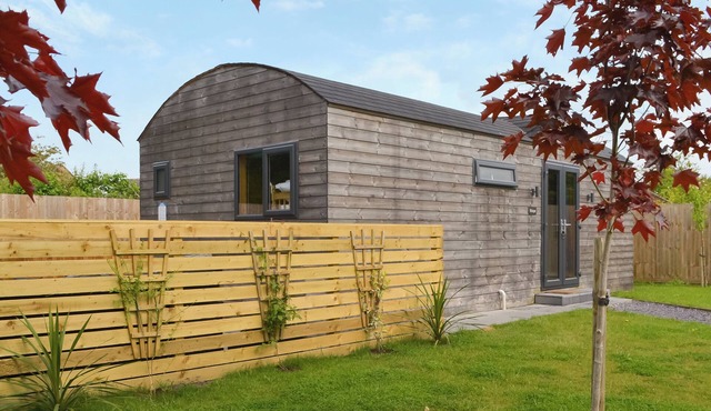 Wellington - UK47055