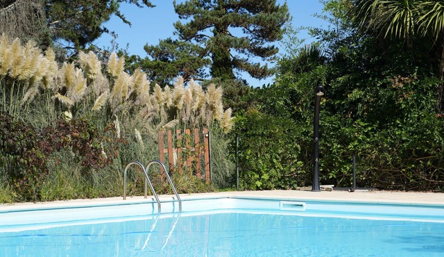 Wellness villa in the countryside with saltwater pool and sauna