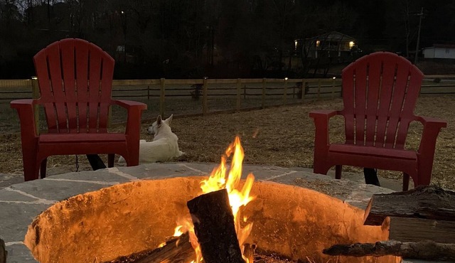 WeLoveALLDogs/FullyFencedYards/Firepit/Views/2King