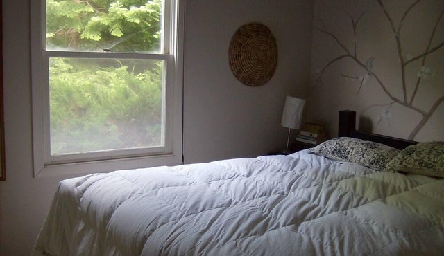 Wentworth Valley Ski House - Central Nova Scotia - Wallace River