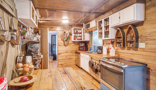 Wesson Cabin w/ Private Beach, Fishing & Hiking!
