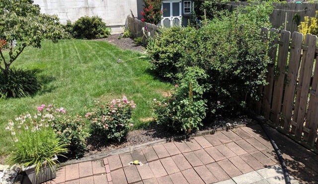 West Chester Borough House with backyard just 2 blocks from center of town!