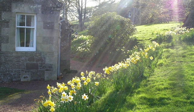 West Twin, Carmichael Country Cottages. Ideal family cottage close to deer park. Pets welcome.