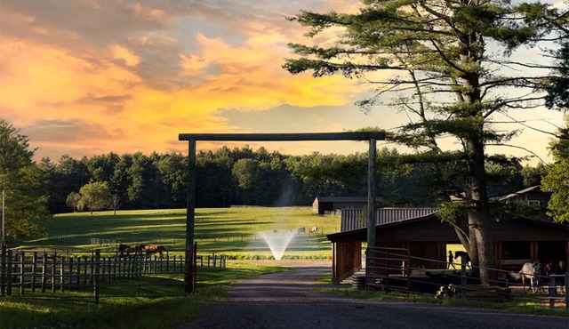 Western Barn Suite @ Driftwood Ranch - a Horse and Cattle Ranch - White Lake, NY