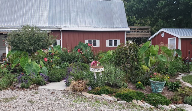 Western Barn