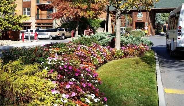 Westgate Smokey MTN Resort. The mountains are calling!