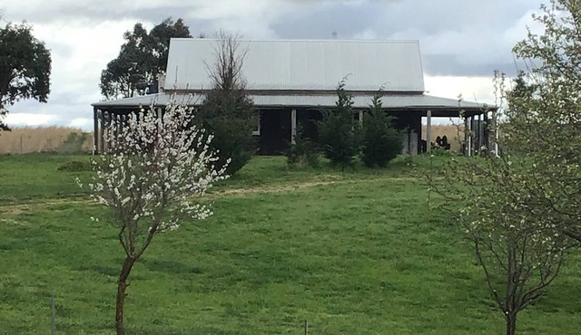 Westham Farm Cottage for the whole family and fur babies