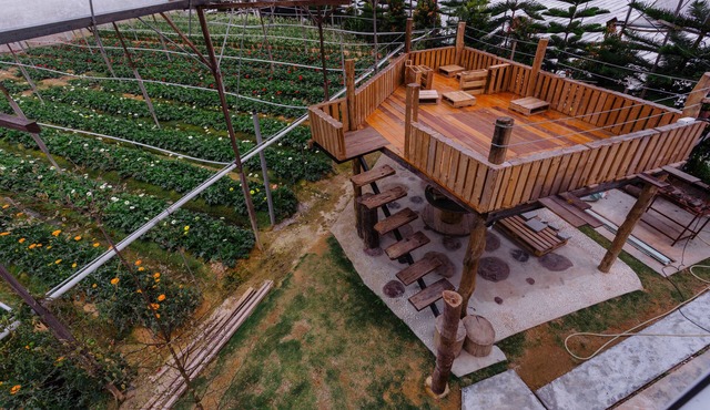 Westwood Highland - Hostel