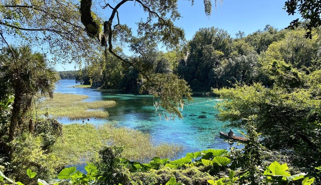 Westy's Boho Bungalow @ Rainbow River. Tranquil River Getaway!