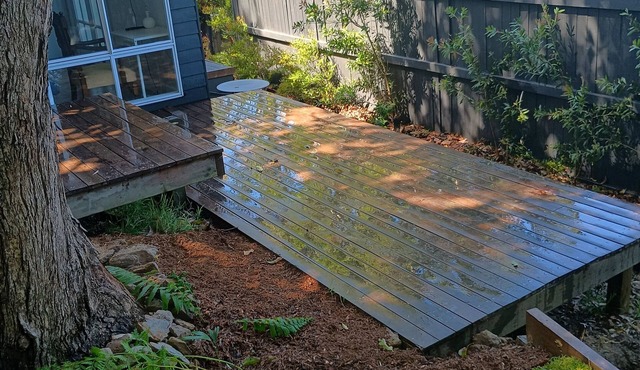 Whale Beach Sunny Retreat