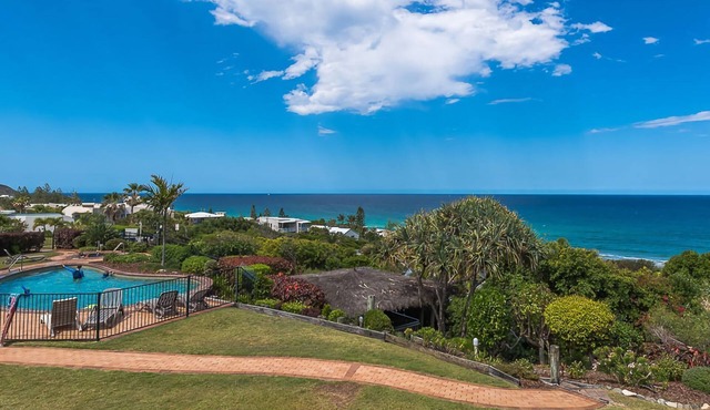Whale season is upon us, watch from your balcony