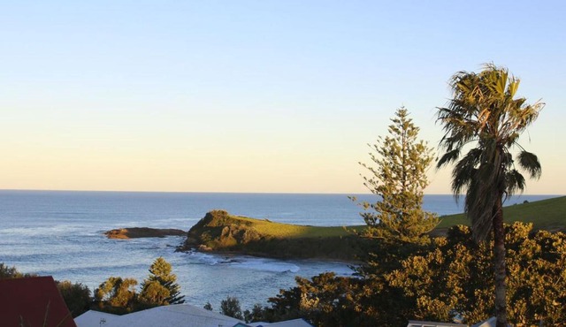 Whale Watch Gerringong