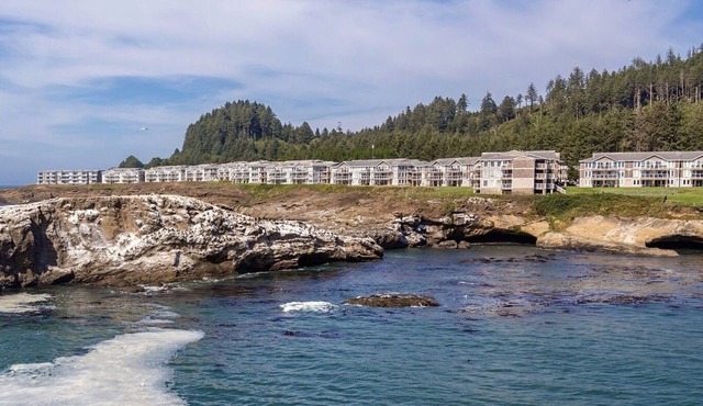 Whale watching has never been easier! Ocean View Resort in Depoe Bay