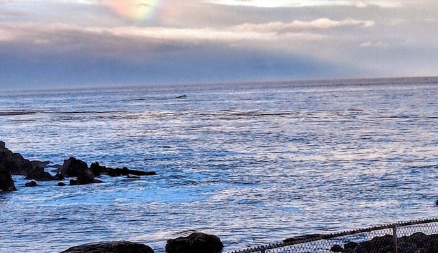 Whales Pointe Resort on the Oregon coast. 3-bedroom oceanfront corner unit