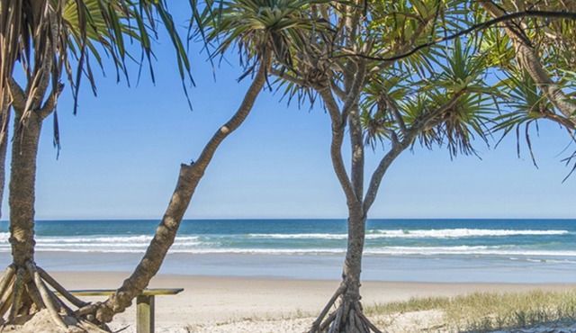 WHALESONG, TOP NOTCH