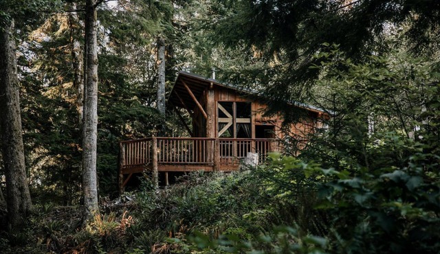 Wheelchair Accessible Log Cabin near Lake Crescent in Forks, Washington, Perfect for a Weekend of Relaxation