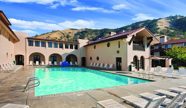 Where beauty and fun collide !