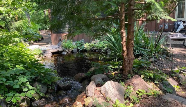 Where cabin coziness meets near-city living convenience.