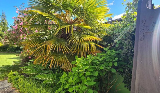 Where comfort meets the mountains—close to everything,spacious,and pet-friendly!