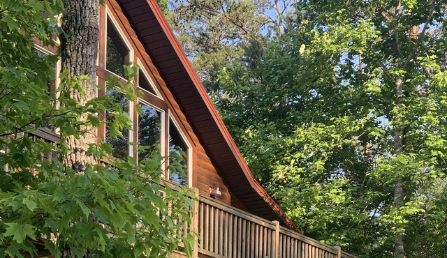 Where the forest whispers, mountains stand tall & stars light the night