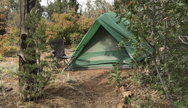 Whether you prefer the rustic charm of tent camping or the comfort of your own vehicle, our campgrounds offer a unique way to connect with nature without sacrificing accessibility. Enjoy the perfect blend of adventure and convenience.