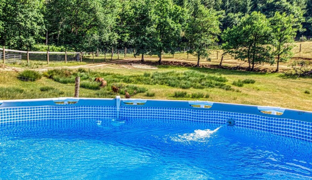 While swimming in the garden pool, watch the animals in the adjacent wildlife enclosure.