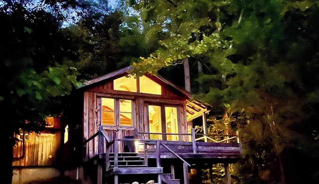 Whimsical Wildwood Studio