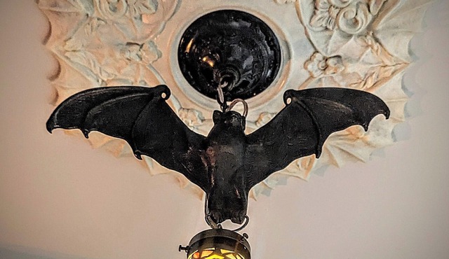 Whimsical Witch's Coven in the heart of Uptown Saint John (Free Parking!)