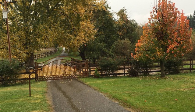 Whirlawind Horse Ranch We are pet friendly!