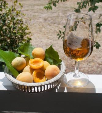 Whiskey Gully Cottages