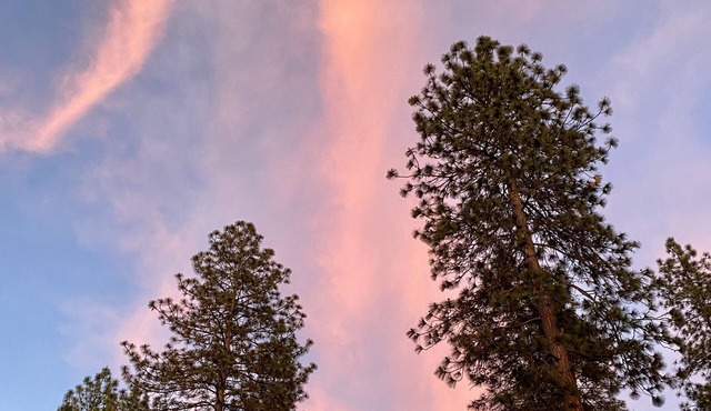 Whispering Pines! 25 miles to Yosemite + 9 miles to Mariposa!