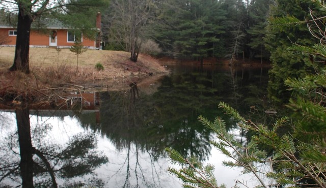 WHISPERING PINES COTTAGE-The Most Beautiful Place in America-Sleeping Bear Park