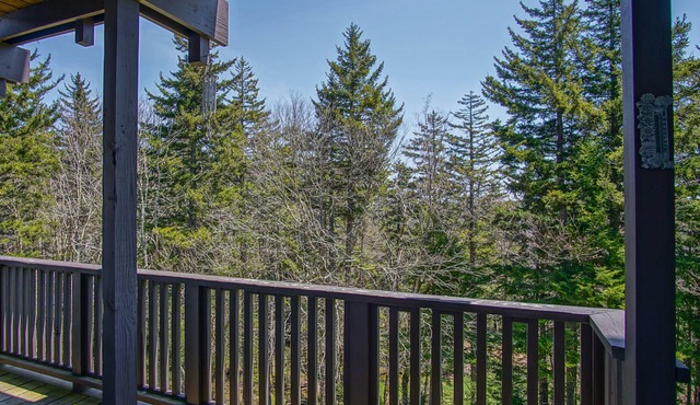 Whistlepunk #11: 2 Bedroom, 2 Bath: Wood fireplace.Central Location.