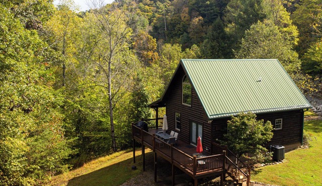 Whistling Timbers Cabin, <1 mile from S. Holston River/Dam, pet-friendly w/fee