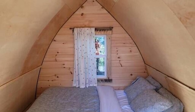 White Birch Camping Pod